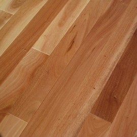 Amendoim Brazilian Oak Solid Hardwood Floor (Sample)