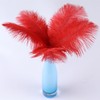 10Pcs Bulk Natural Red Ostrich Feathers,10-12 inch (25-30cm) Beautiful Long