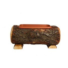 Wooden Trunk with Pot, Real Wood Trunk with Plastic Inner Pot (25 cm)