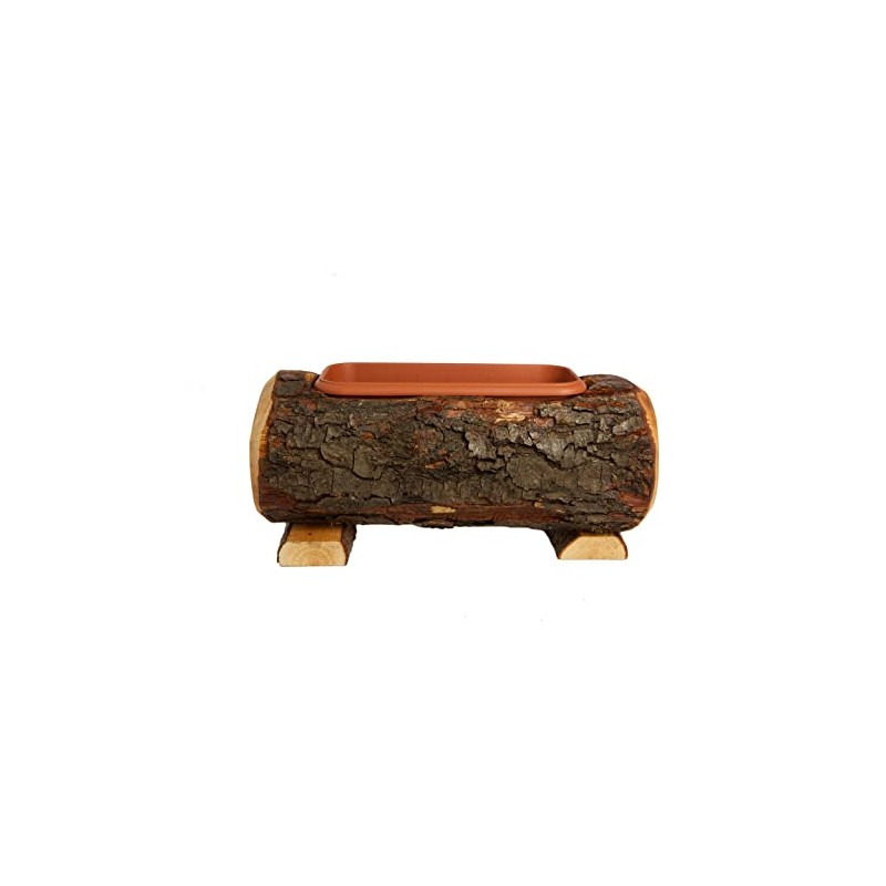 Wooden Trunk with Pot, Real Wood Trunk with Plastic Inner