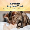 Blue Buffalo True Chews Natural Chewy Cat Treats, Made in