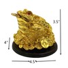 Betterdecor Feng Shui Money Frog (Three Legged Wealth Toad) Chan