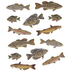 Fish Stickers - 2 Sheets