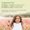 ChildLife Essentials | Zinc Plus® 4 Fluid Ounces (118 mL)