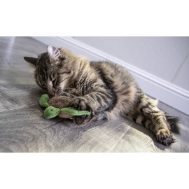 Petlinks Tipsy Turtle Cat Toy