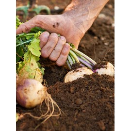 A.Vogel Herbamare® Herb Sea Salt 125g | Unrefined Sea Salt Infused With 13 Fresh Organic Herbs and Vegetables