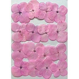 Fukusan Pressed Flower Pack Hydrangea Pink FUK-1034