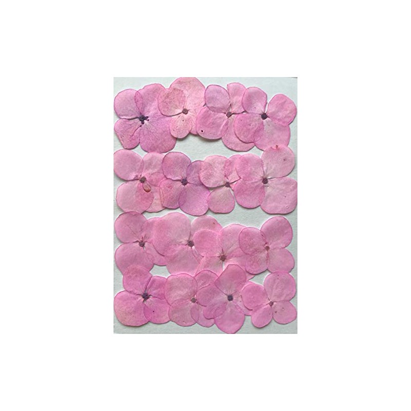 Fukusan Pressed Flower Pack Hydrangea Pink FUK-1034