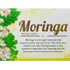 Therbal TE de MORINGA / MORINGA TEA 25 bags 2grs