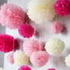 EOMECUIGAO Tissue Paper Pom Poms Paper 10pcs for Party, Wall