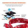 Ergodyne Chill Its 6700 Cooling Bandana, Evaporative Polymer Crystals for