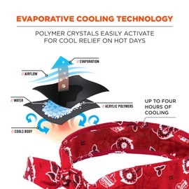 Ergodyne Chill Its 6700 Cooling Bandana, Evaporative Polymer Crystals for Cooling Relief, Tie for Adjustable Fit, 6-Pack, Red Western