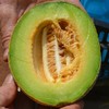 HAMI MELONS 20 SEEDS