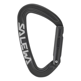 Salewa Ortles Carabiner Straight