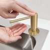 EADOT Brushed Gold Built in Dish Soap Dispenser for Kitchen