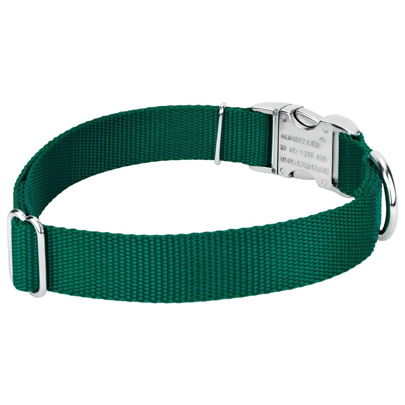Country Brook Petz Premium Nylon Dog Collar with Metal Buckle