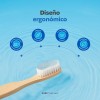 Kit 10 Cepillos Dentales De Bambú Con Cerdas Medias. B