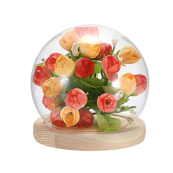 JUXYES Round Clear Glass Display Dome Cover with Wood Base,
