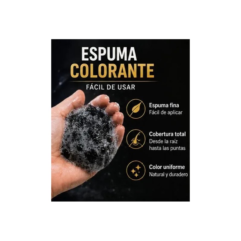 Shampoo Tinte Negro Instantáneo Cubre Canas Jengibre 500ml