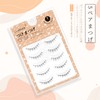 LASHIDOL False Eyelashes, Natural Eyelashes, False Eyelashes, Corner of Eyelashes,