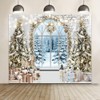 White Christmas Backdrops for Photoshoot Winter Window Christmas Photo Backdrop