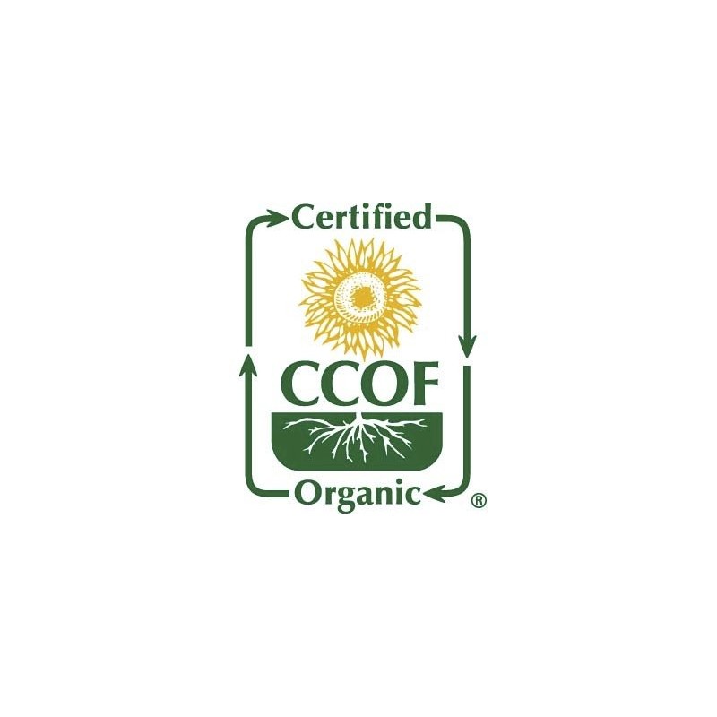 McCabe Organic Soybeans -GMO-Free | USDA and CCOF Organic Certified