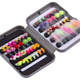BASSDASH 57pcs Fly Fishing Egg Flies Kit with Fly Box for Steelhead Salmon Trout Fishing Include Egg Flies, Worms, Streamers