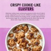 Purely Elizabeth Oatmeal Raisin Cookie Granola 11 Ounce Gluten Free