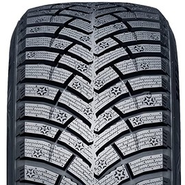 Nexen Winguard Winspike 3 Winter Tire - 195/55R16 91T
