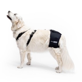 Ortocanis - Hip Support for Dogs with Hip Dysplasia or Osteoarthritis, Size M