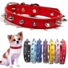 Spiked Dog Collar for Small Dogs PU Leather Spike Puppy