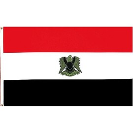 Egypt National Country Flag - 3x5foot poly