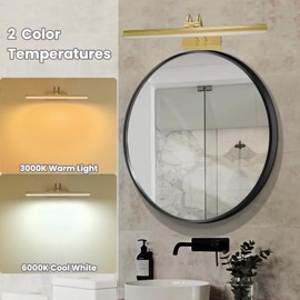 LEEQVHOOLL Rechargeable Picture Light, 2 Colors Wireless Wall Art Light with Remote, Dimming Gallery Painting Lights for Wall Frame,Display,Photo,Dartboard,Portrait, 13inch(Gold)