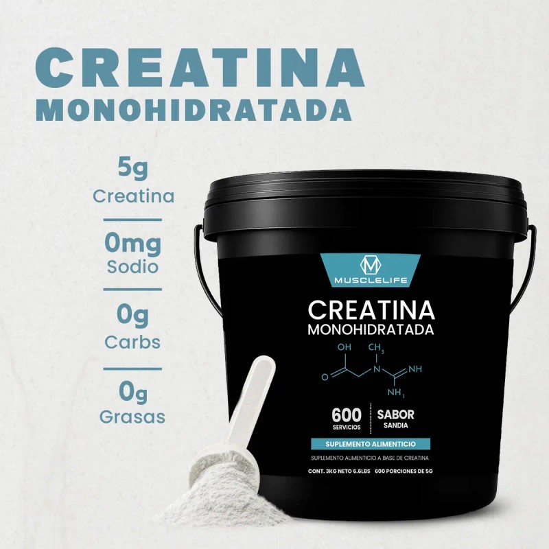 Creatina Muscle Life Monohidratada 3kg 600 Servicios Varios