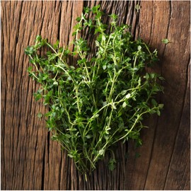 Seed Needs, Thyme Culinary Herb (Thymus vulgaris) Twin Pack of 500 Seeds Each
