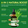 6-in-1 Wild Lettuce Extract Tincture for Relaxation, 2oz