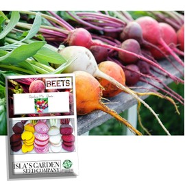 Rainbow Mix Beet Seeds (Beta vulgaris) –100+ Heirloom Non-GMO Seeds per Packet by Isla’s Garden Seeds, Colorful and Nutritious, Perfect for Roasting, Salads, and Pickling, Great Gardening Gift