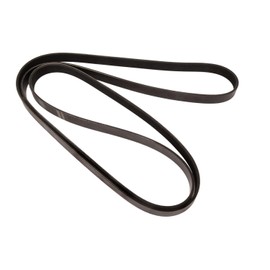 Continental Elite 4060883 Poly-V/Serpentine Belt