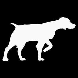 Express Yourself Products Brittany Spaniel Pointing (White - Reverse Image - Small) Decal Sticker - Hunting Dog Collection