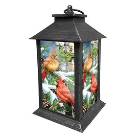 Briarwood Lane Lanterns Decorative - Battery Operated Lights - Outdoor Lantern - Decorative Lanterns - Room Decor - Patio Decor - Home Décor for Winter - Snowy Cardinals