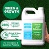 Maximum Green & Growth Fertilizer High Nitrogen 28-0-0 Lawn Food