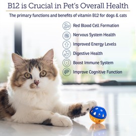 RX Vitamins B12 for Dogs and Cats - Dog Digestive Support for Improved Metabolic Process - Pure B12 for Cats to Support Nervous System - Ideal for your Dog Vitamins and Cat Supplies - 4oz