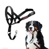 HALTI Headcollar - To Stop Your Dog Pulling on the