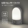 LED センサーライト OSC-10