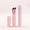 Lucky Interests Eyeshadow Brushes Set, 5Pcs Eyebrow Concealer Detail Eyeliner/Lip