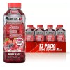 SueroX Berry Blast Zero Sugar Electrolyte Drink for Hydration 21.3