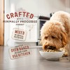 Stella & Chewy's SuperBlends Raw Blend Wholesome Grains Puppy Cage-Free