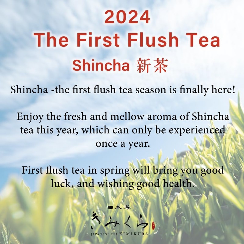 Premium Fukamushi Sencha -Deep Steamed Green Tea from Shizuoka JAPAN｜Japanese