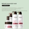 Alfheim Argan Repairing Shampoo & Conditioner | Sulfate-Free, Paraben-Free |