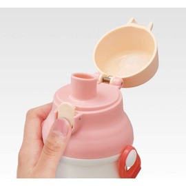 Skater PSB5SANAG-A My Neighbor Totoro Water Bottle, 16.9 fl oz (480 ml), For Kids, Girls, Antibacterial, Plastic, Made in Japan